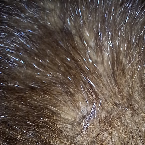 Vintage 1960s black A-line wool coat, three large buttons, faux fur collar - Picture 9 of 16